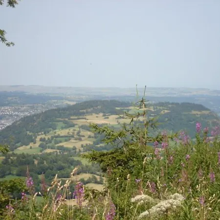 Confortable Au Pied Des Pistes, Le Lioran - Fr-1-787-40 *