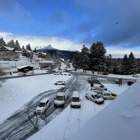 Confortable Au Pied Des Pistes, Le Lioran - Fr-1-787-40 Laveissiere